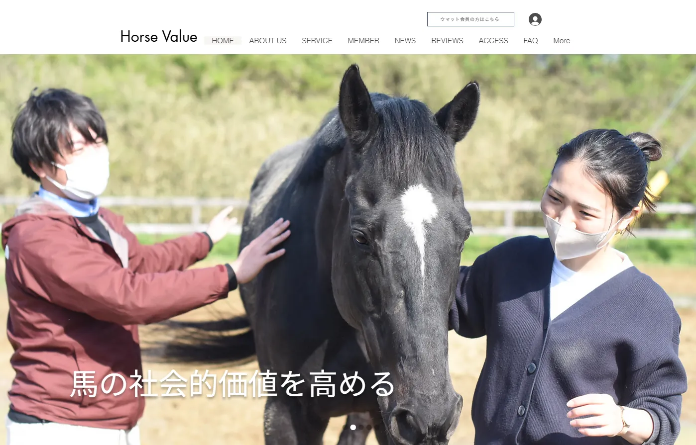 Horse Value